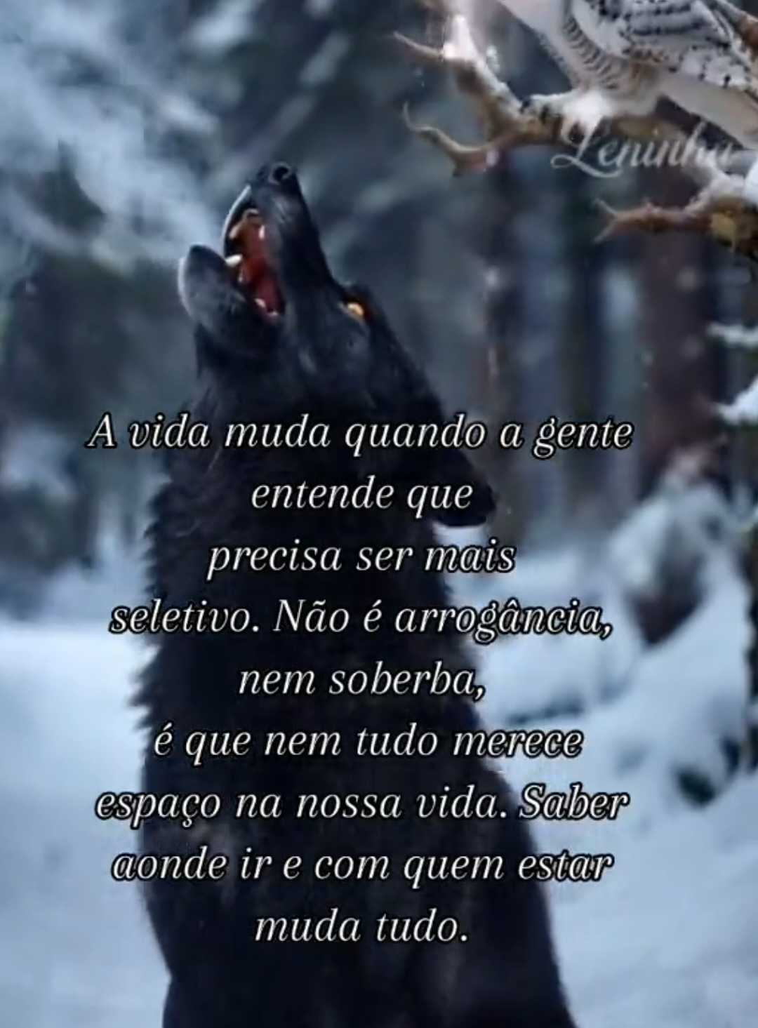 @Leninha___m