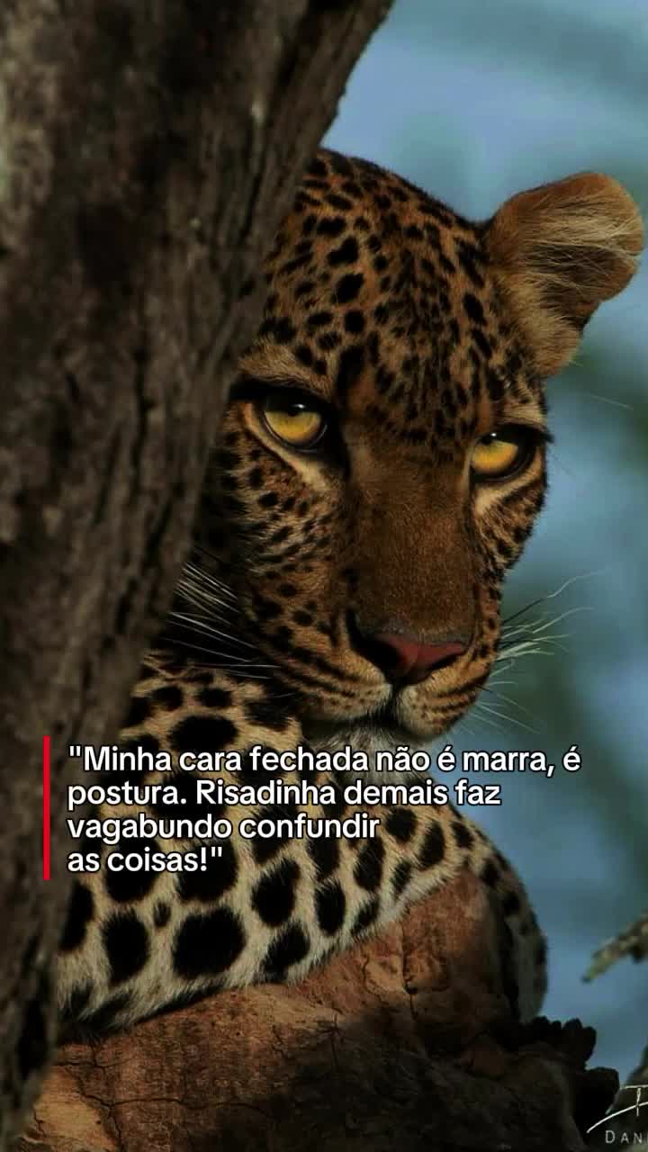 @𝙁𝙚𝙡𝙞𝙣𝙖.𝙈𝙚𝙣𝙩𝙚96🐆❤️