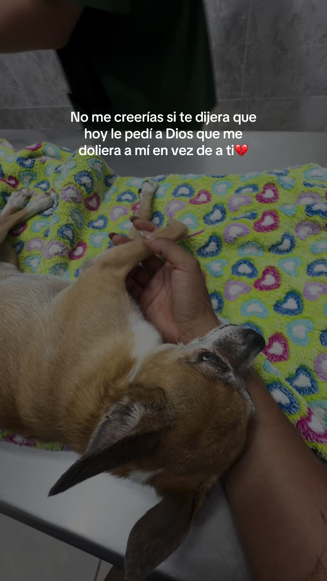 @Estefany Delgado
