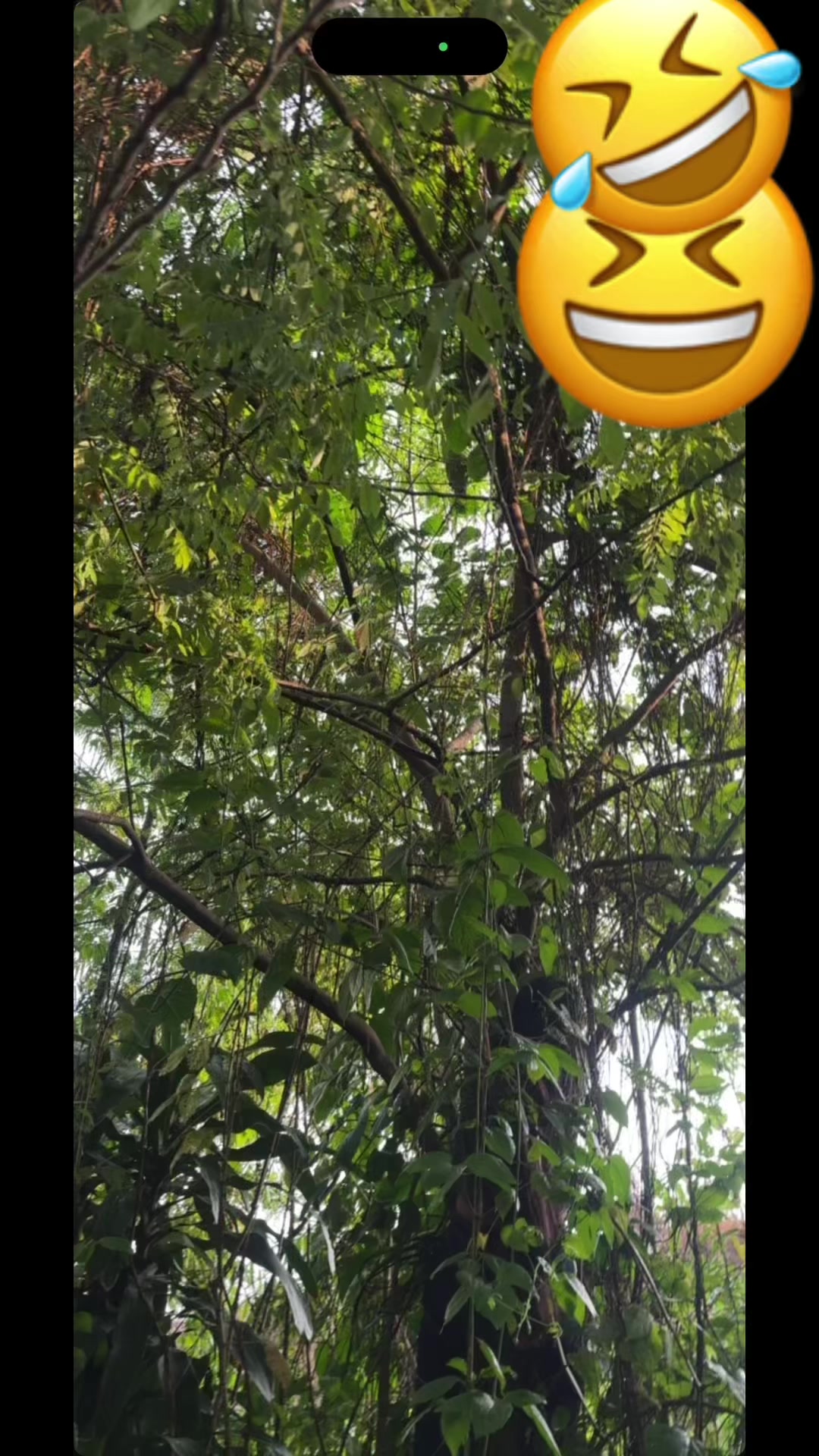@🤞🤞SohomEsme?Espe?yky🤞🤞♓️