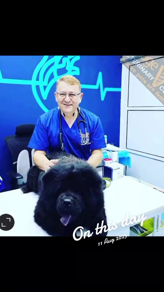 @VillagevVet LLC