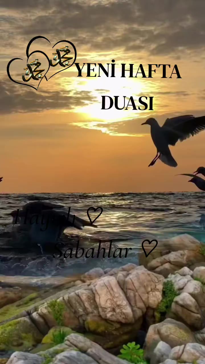 @aynur Kocakaya 280.🤲