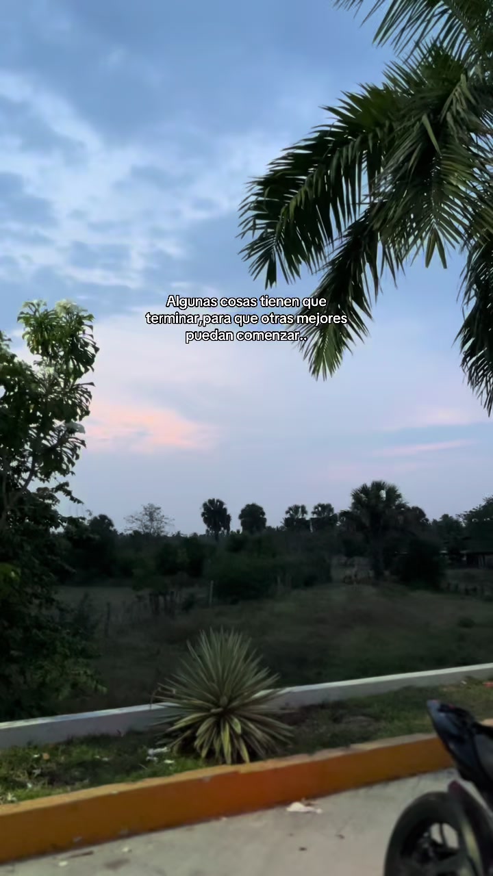 @Josu&eacute;🕸️