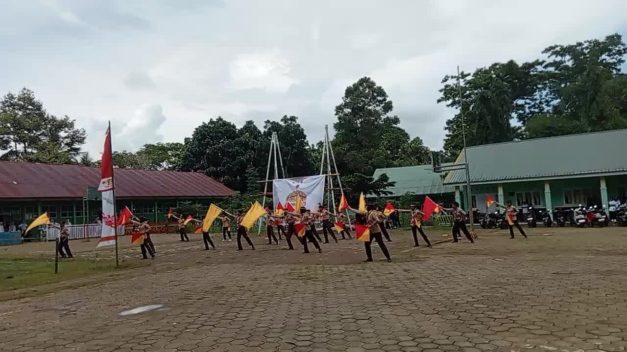@Scout Ammatoa