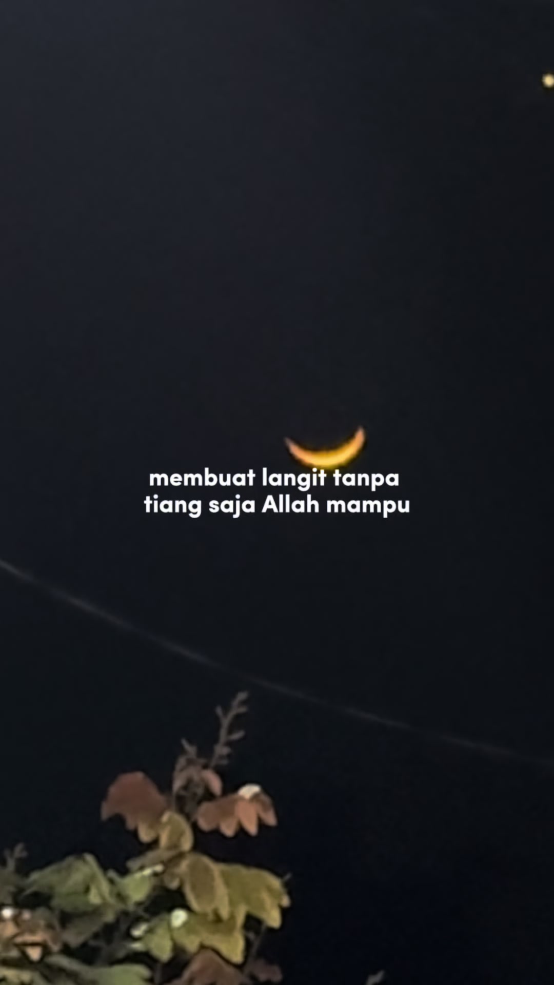 @Bundane farhan02