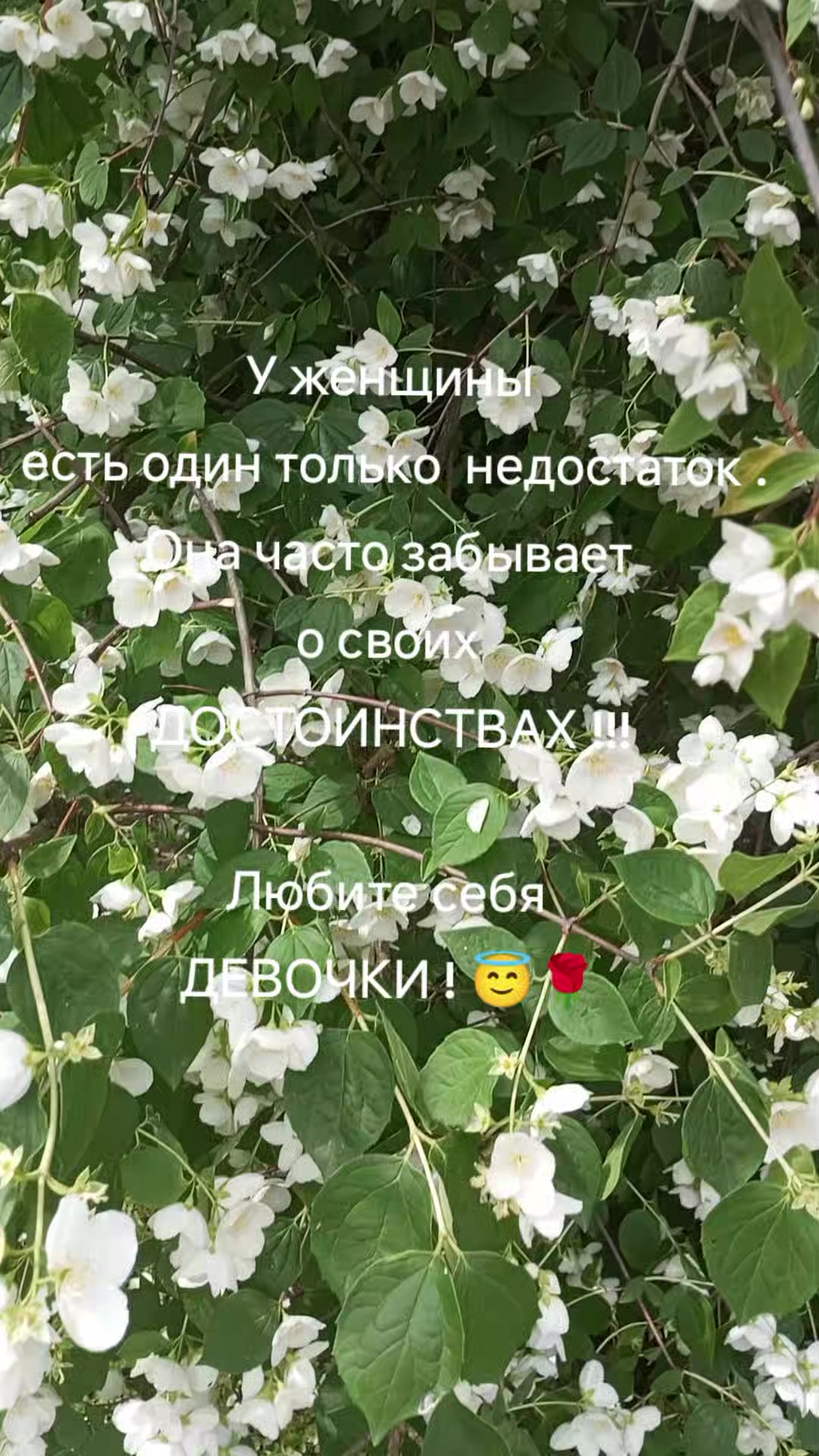 @Ангел дарит любовь