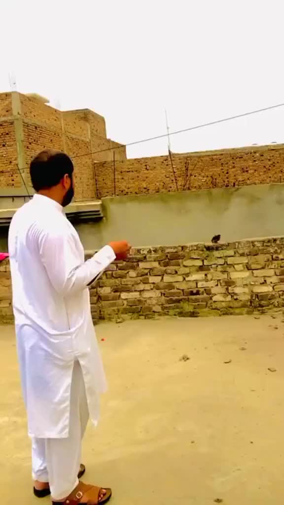 @GHANI bhaye