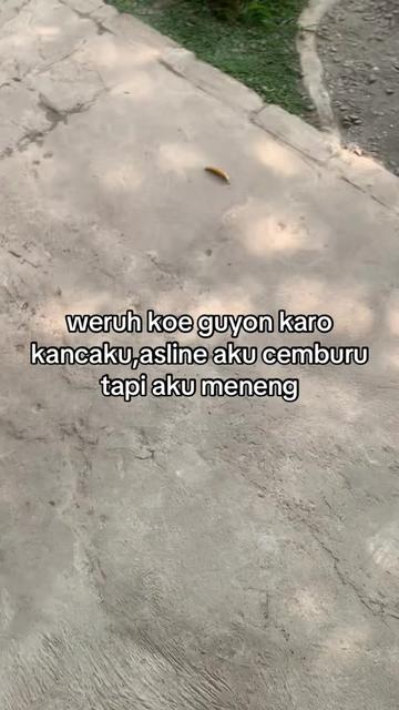 @warkop semunjul