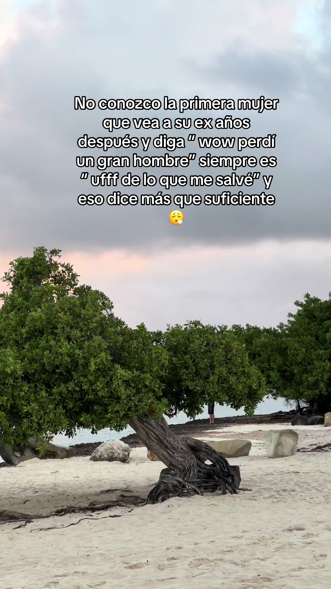 @Mariana Gil