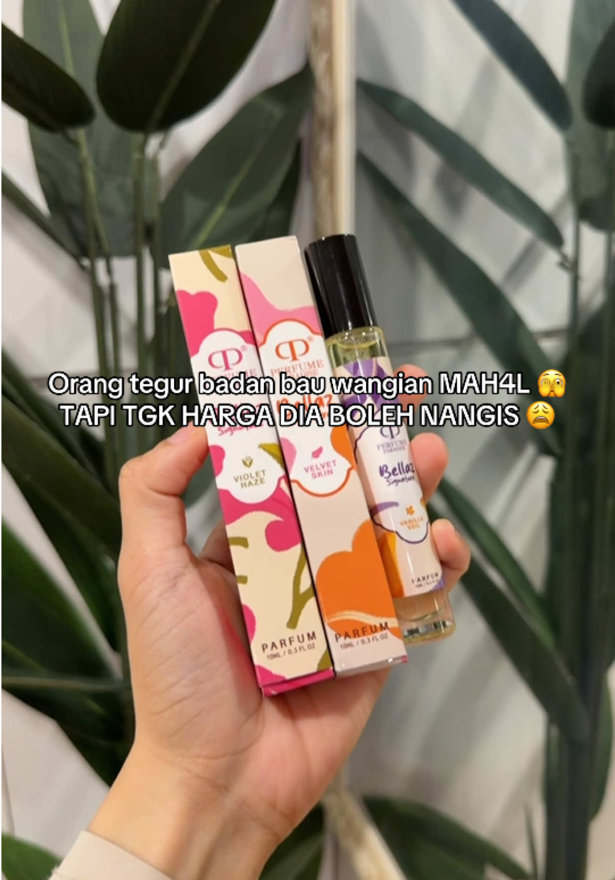 @Ayla Alia 💚