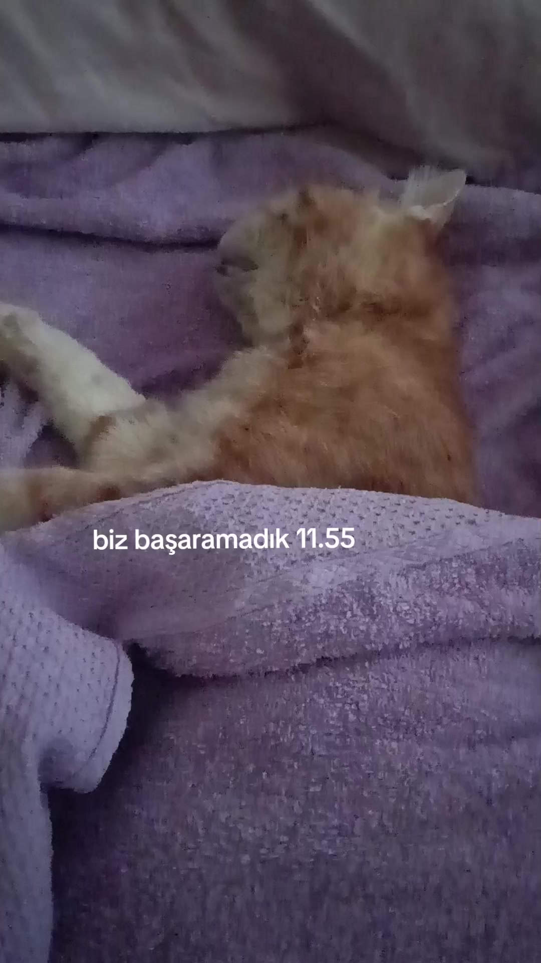 @kayıp şehir
