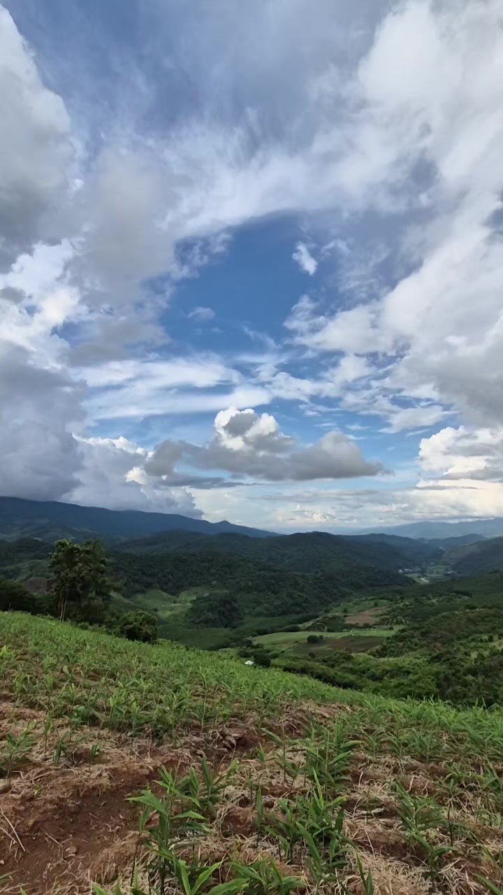 @Phanitphorn