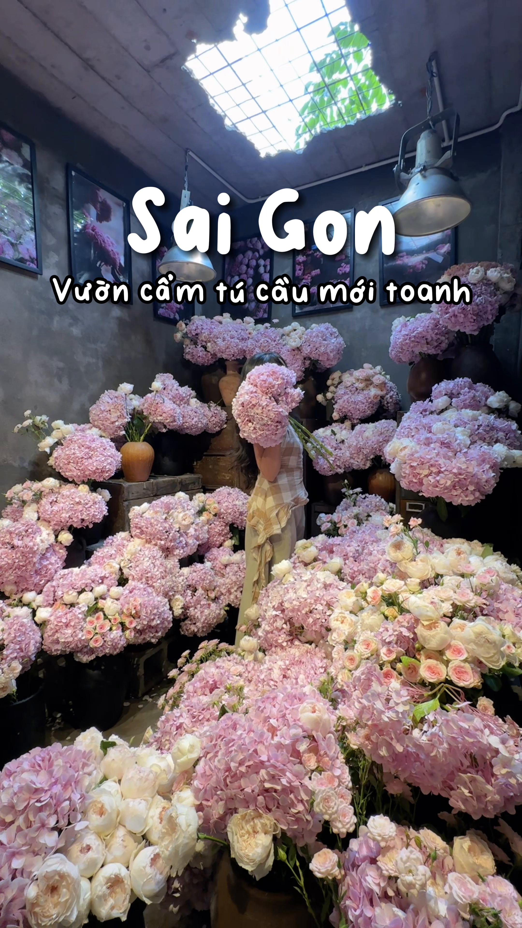 @1 ph&uacute;t S&agrave;i G&ograve;n