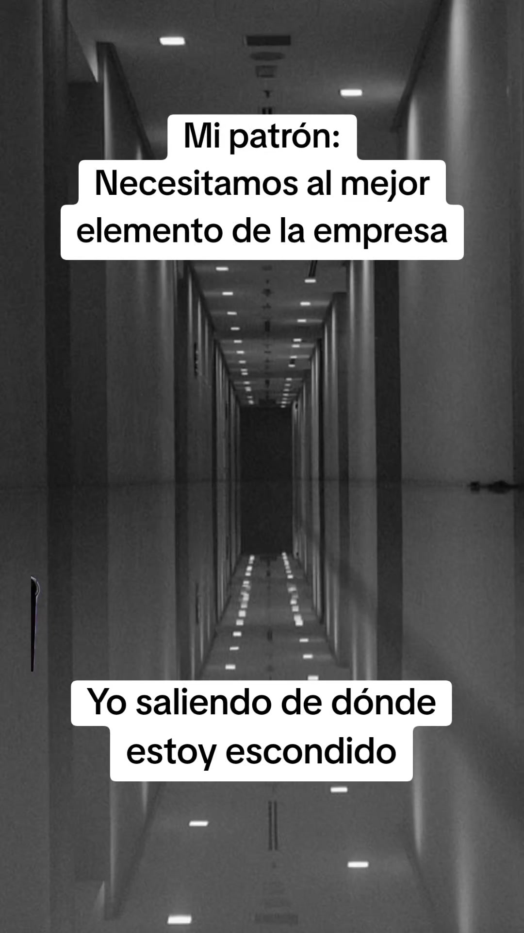 @Luis Carvajal240