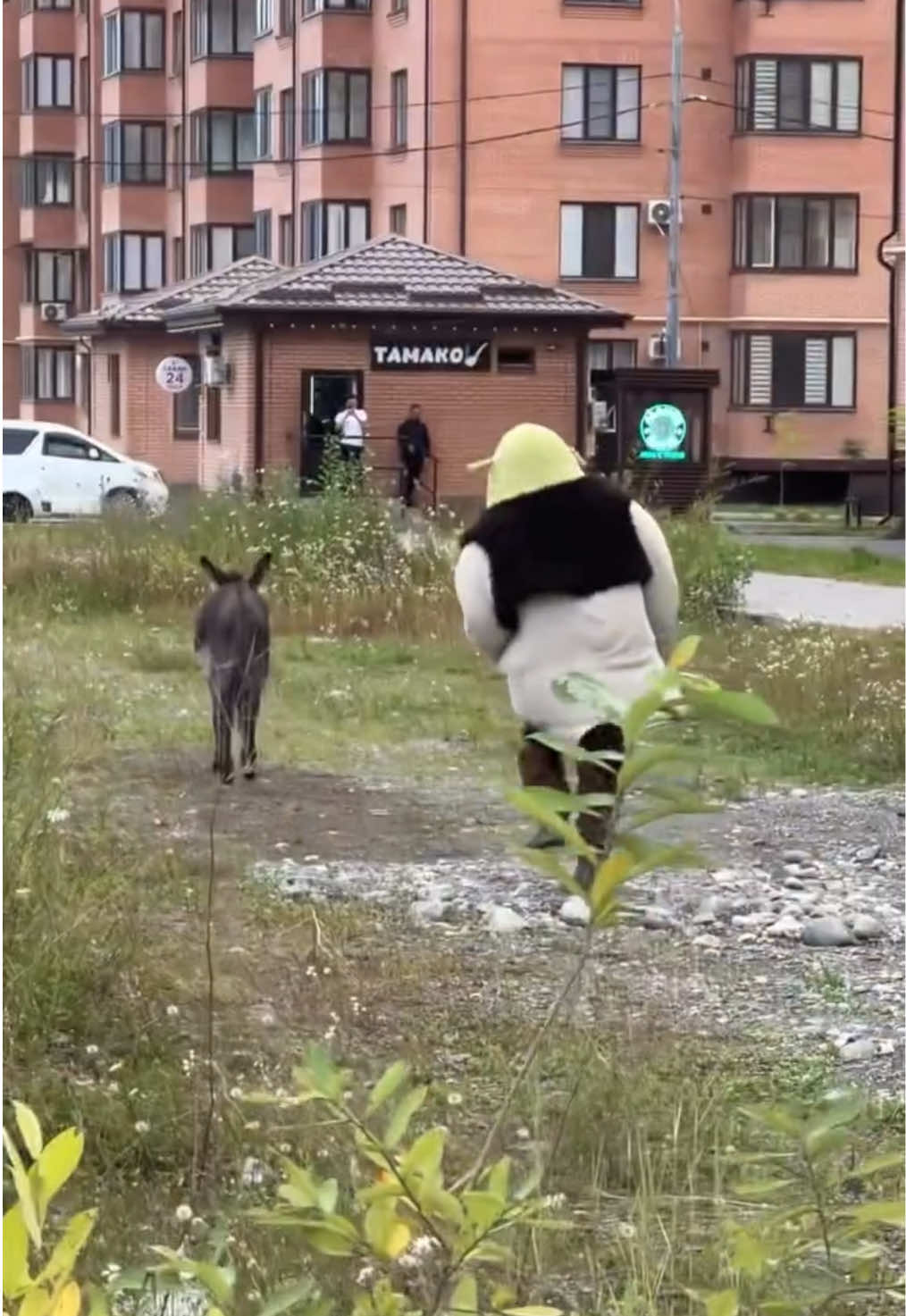 @дима яндекс&reg;️