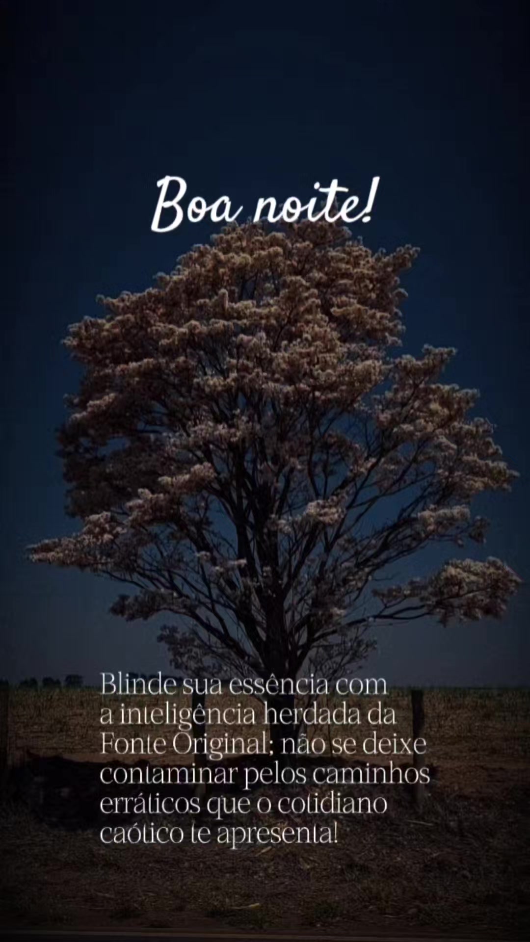 @Consciência Universal