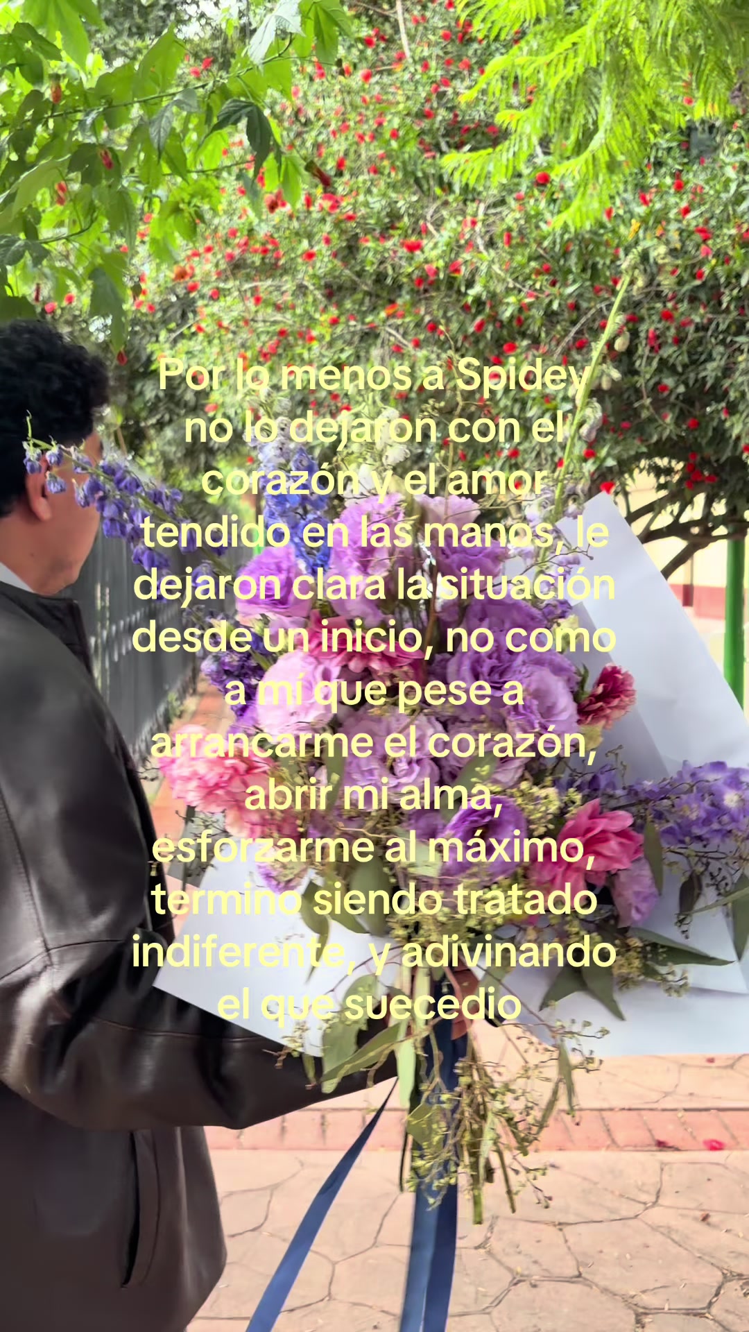 @CachyRulinho
