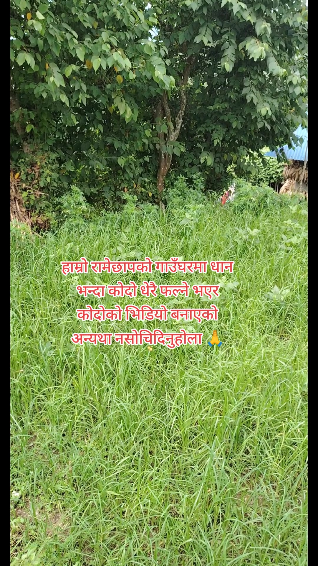 @अधिकारी लक्ष्मी