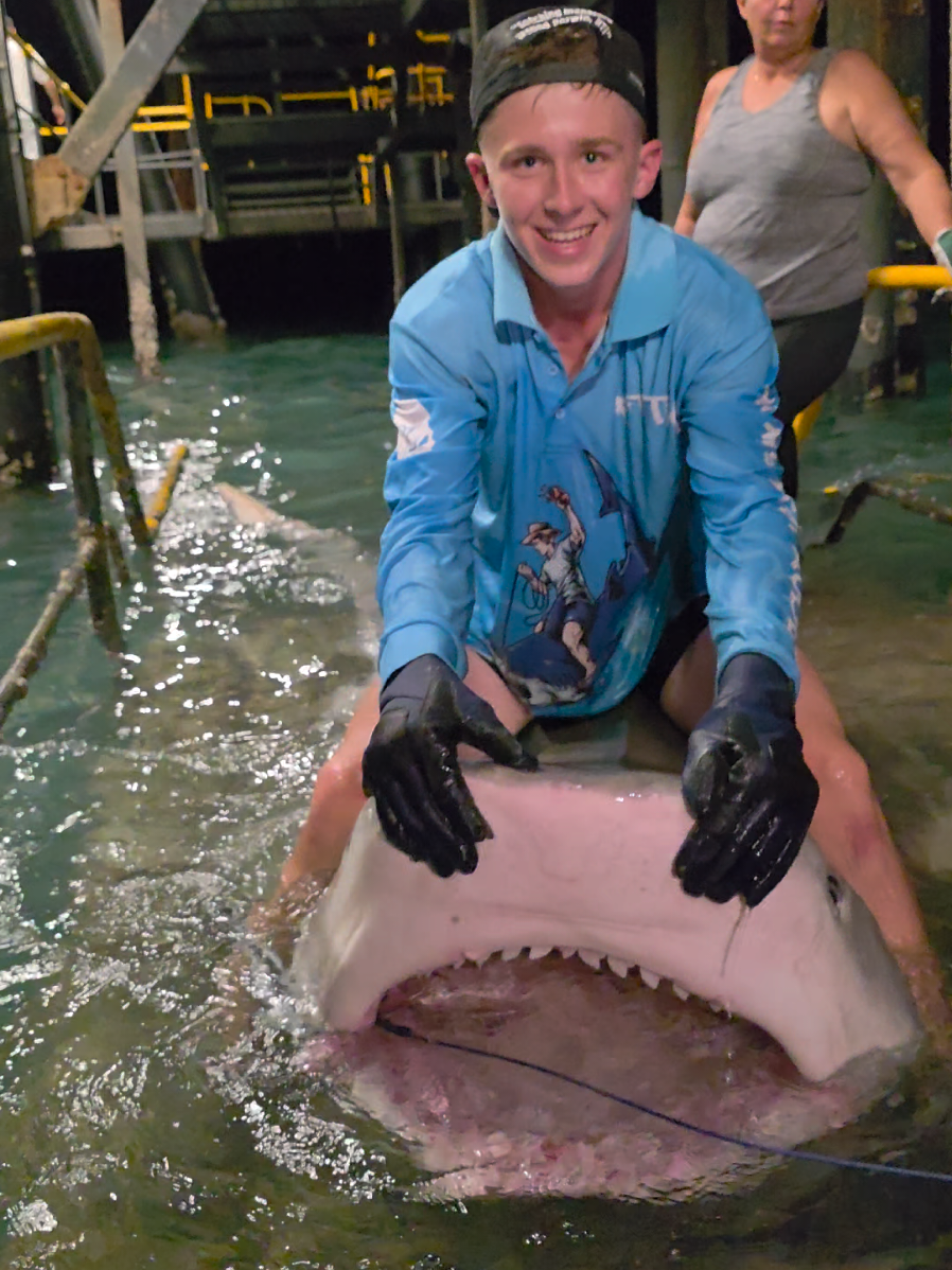 @NT SHARK KING