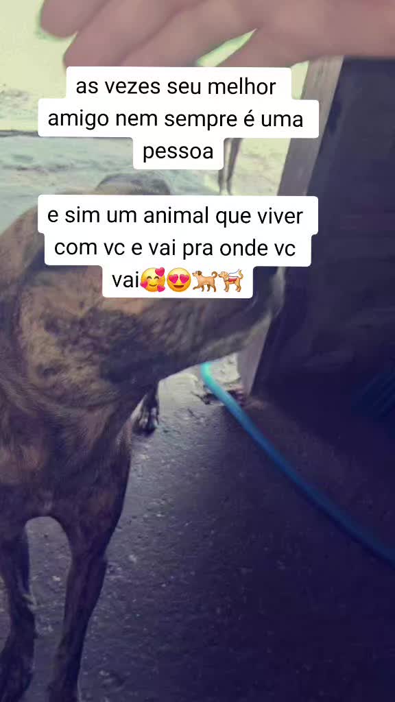 @Linda inês pinheiro quadro