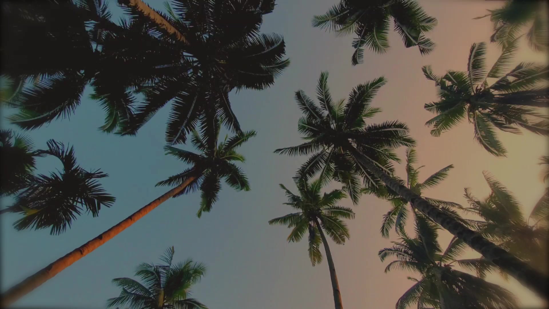 @𝐒ｅg𝐚 ᔕ丅𝐚丅𝓊ᔕ