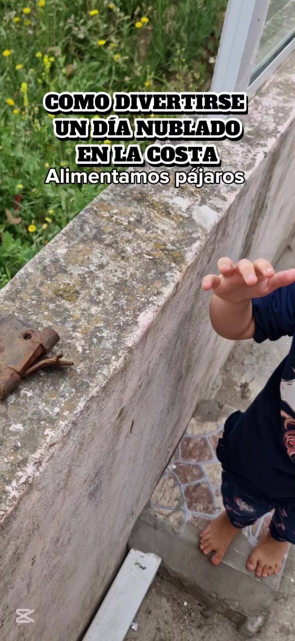 @Aldana Bianchi