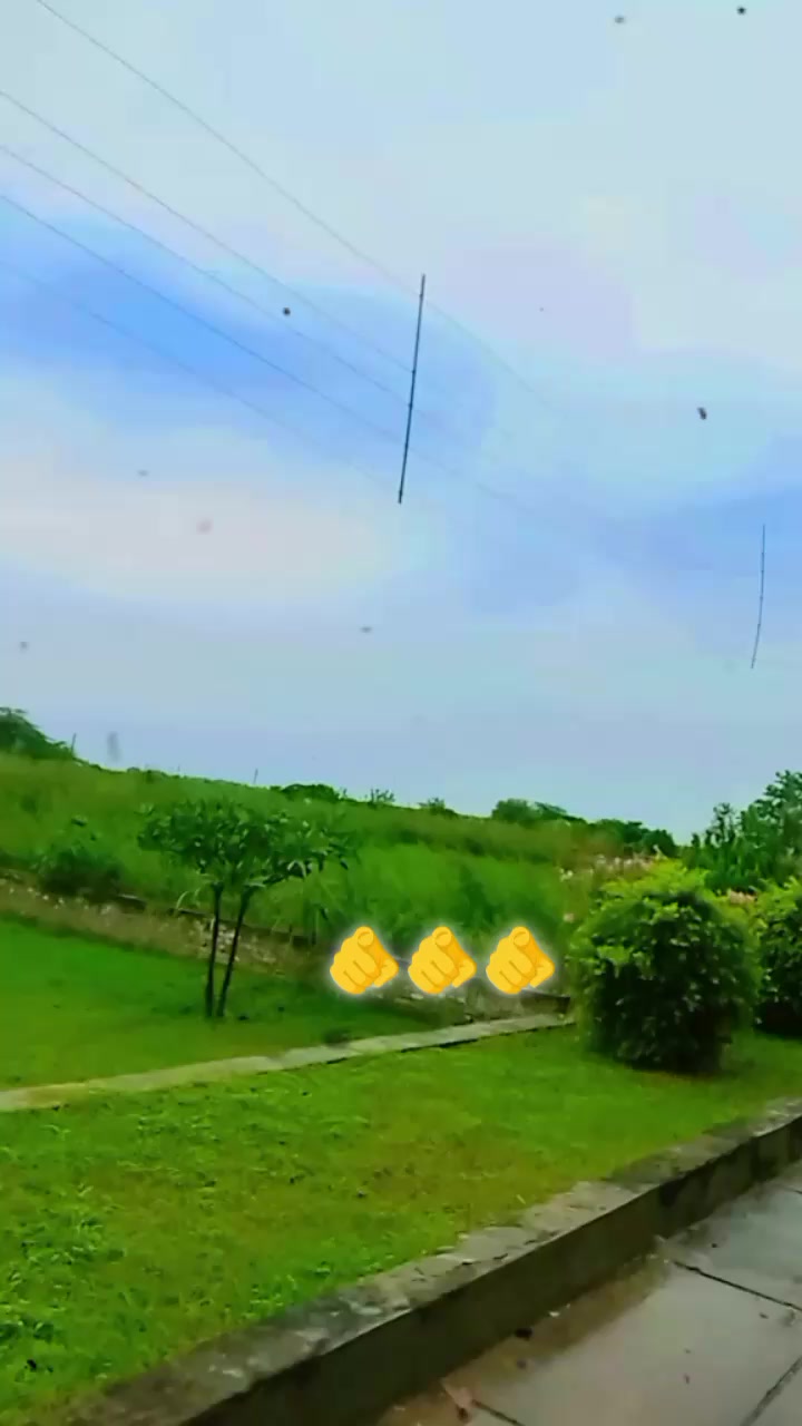 @👍👑(شہزادہ)👑 (بادشاہ )👑👍🖤