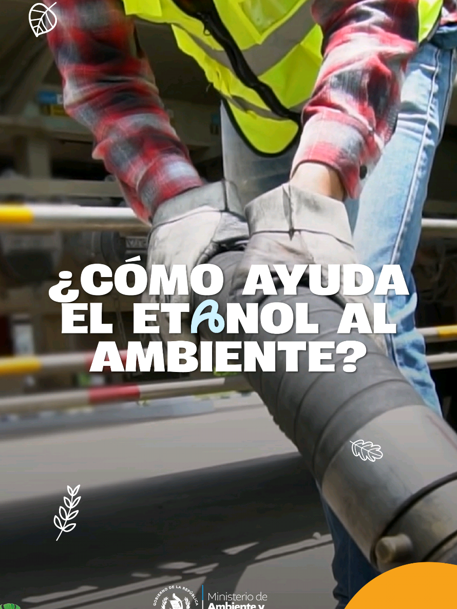 @Ministerio de Ambiente GT