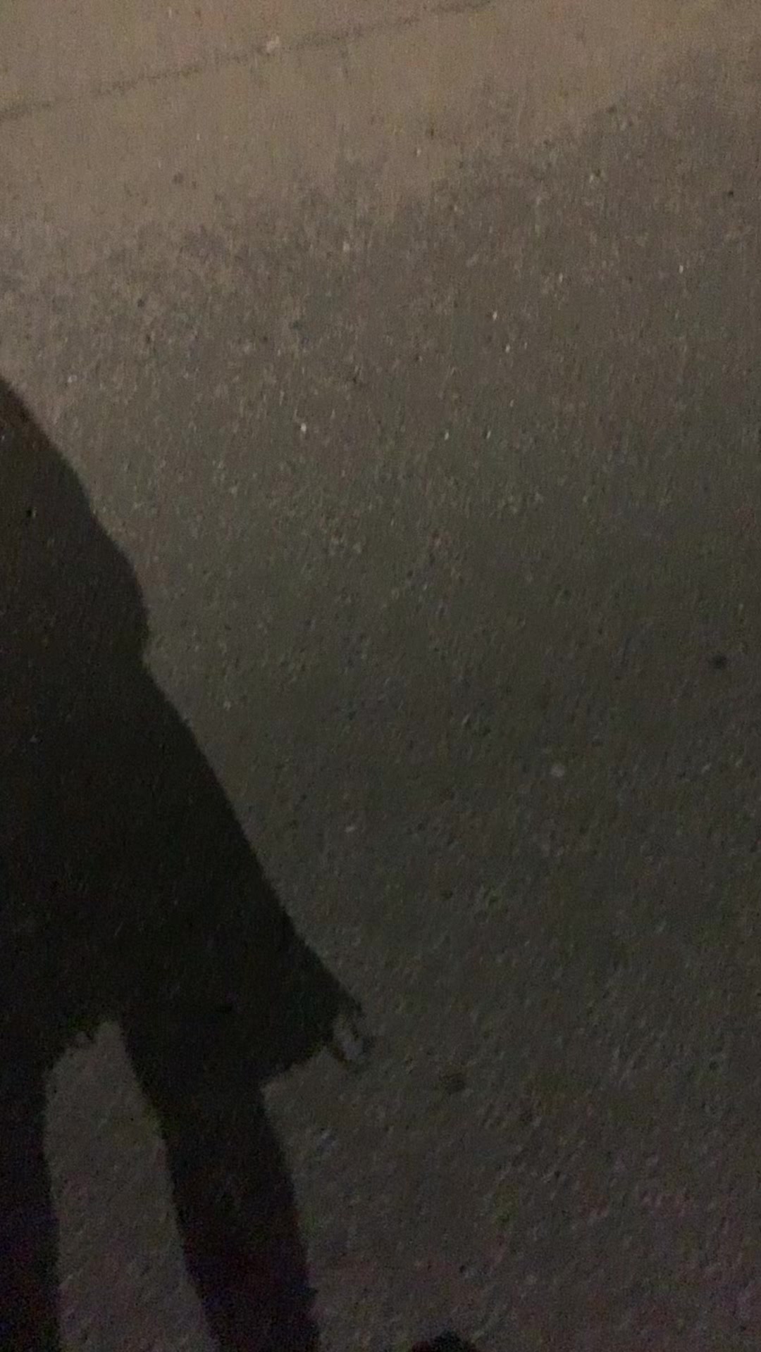 @⠀ ⠀ ⠀ ⠀