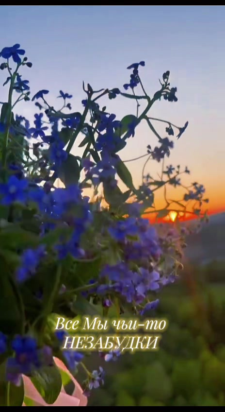 @🌸АнютаЯ🌸