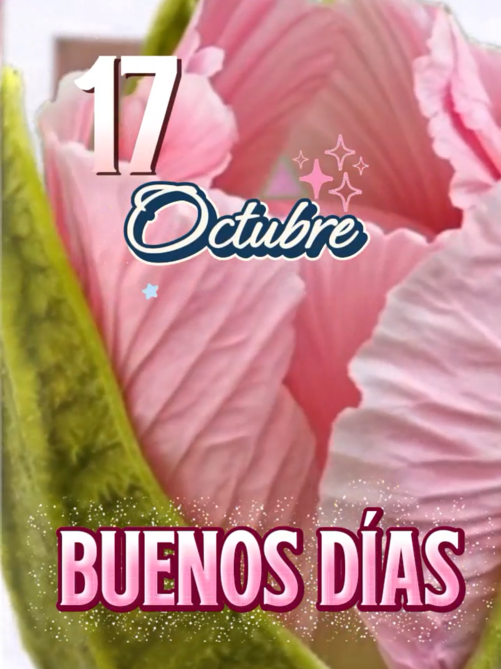 @Arely Mendoza Frases bonitas