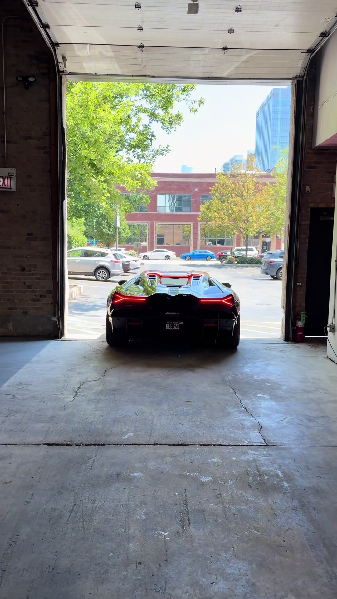 @mali_car_wrap