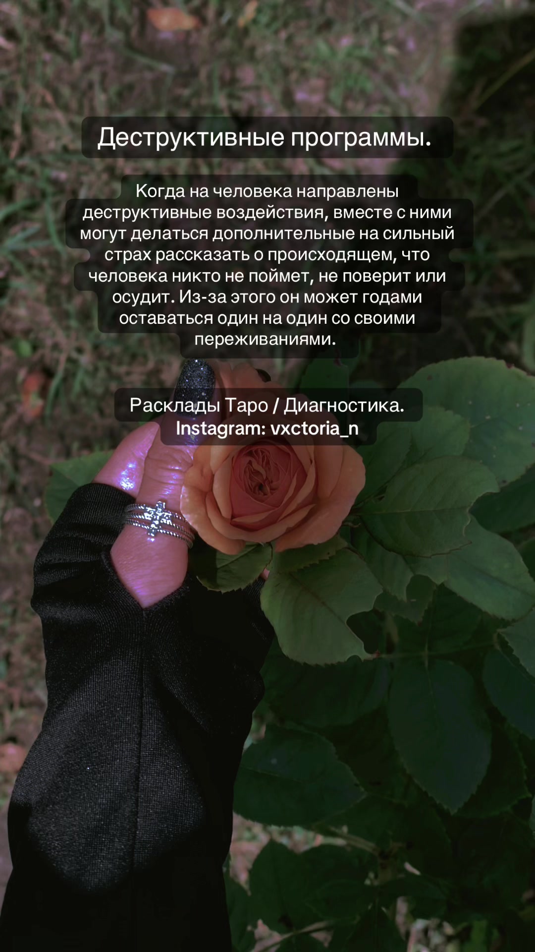 @moon_magic