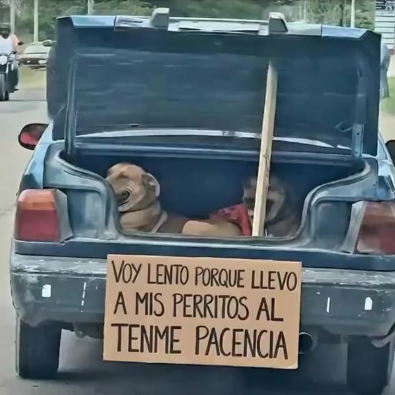 @Animalistas Unidos GymsEmp