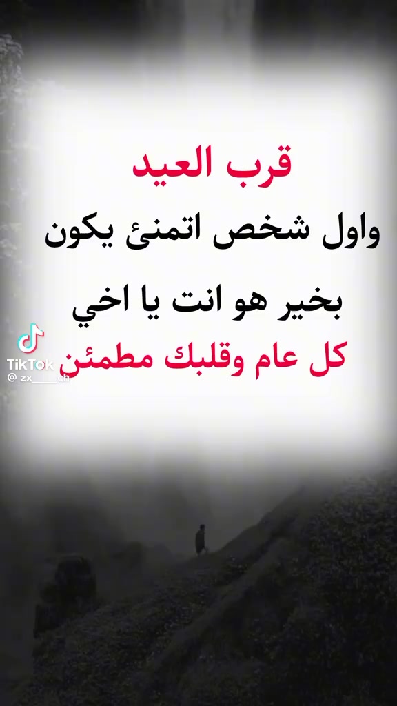 @sofya walid