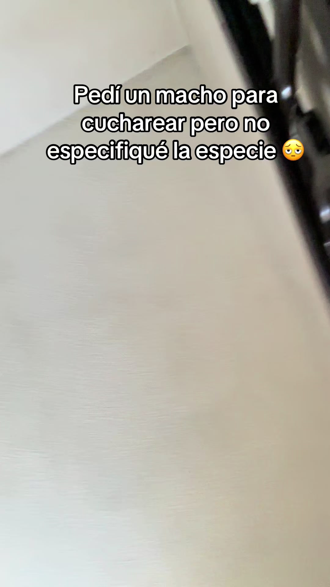 @Ximena Bayot