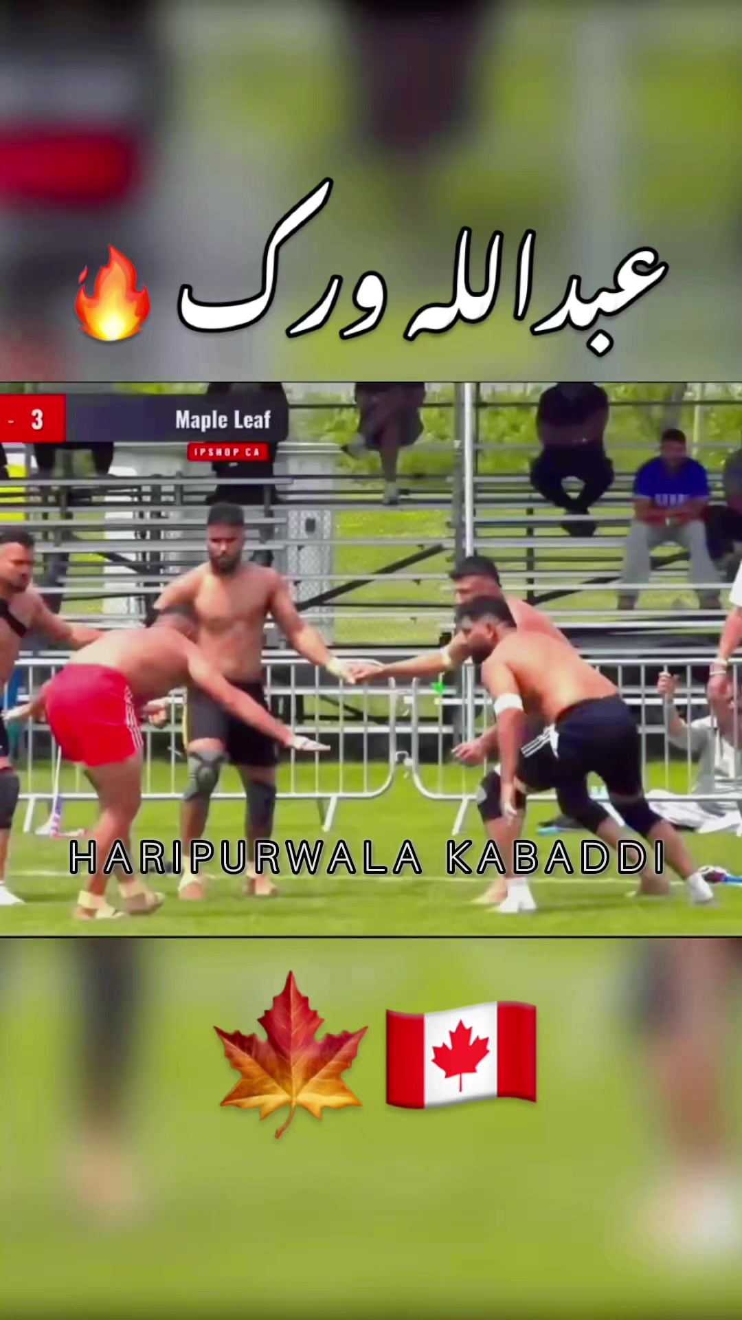@⚡️HariPurWala Kabaddi Edits⚔️
