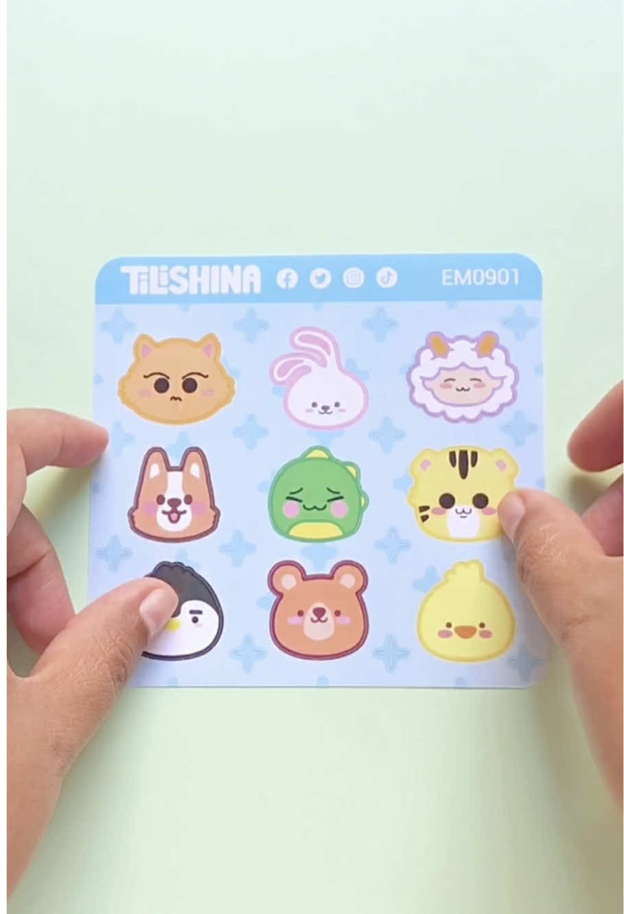 @TiliSHINA