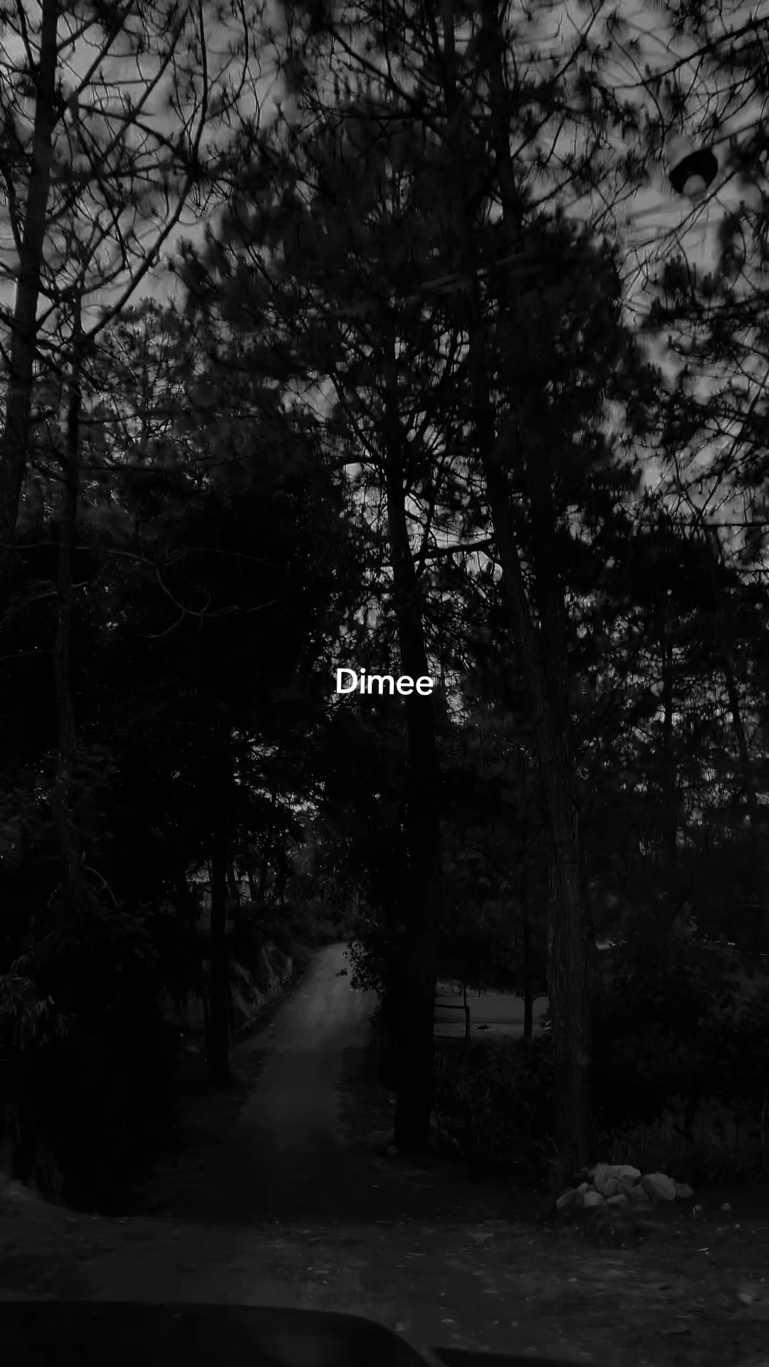@ᴅᴀʟɪʟᴀ ﾒ'𝟶