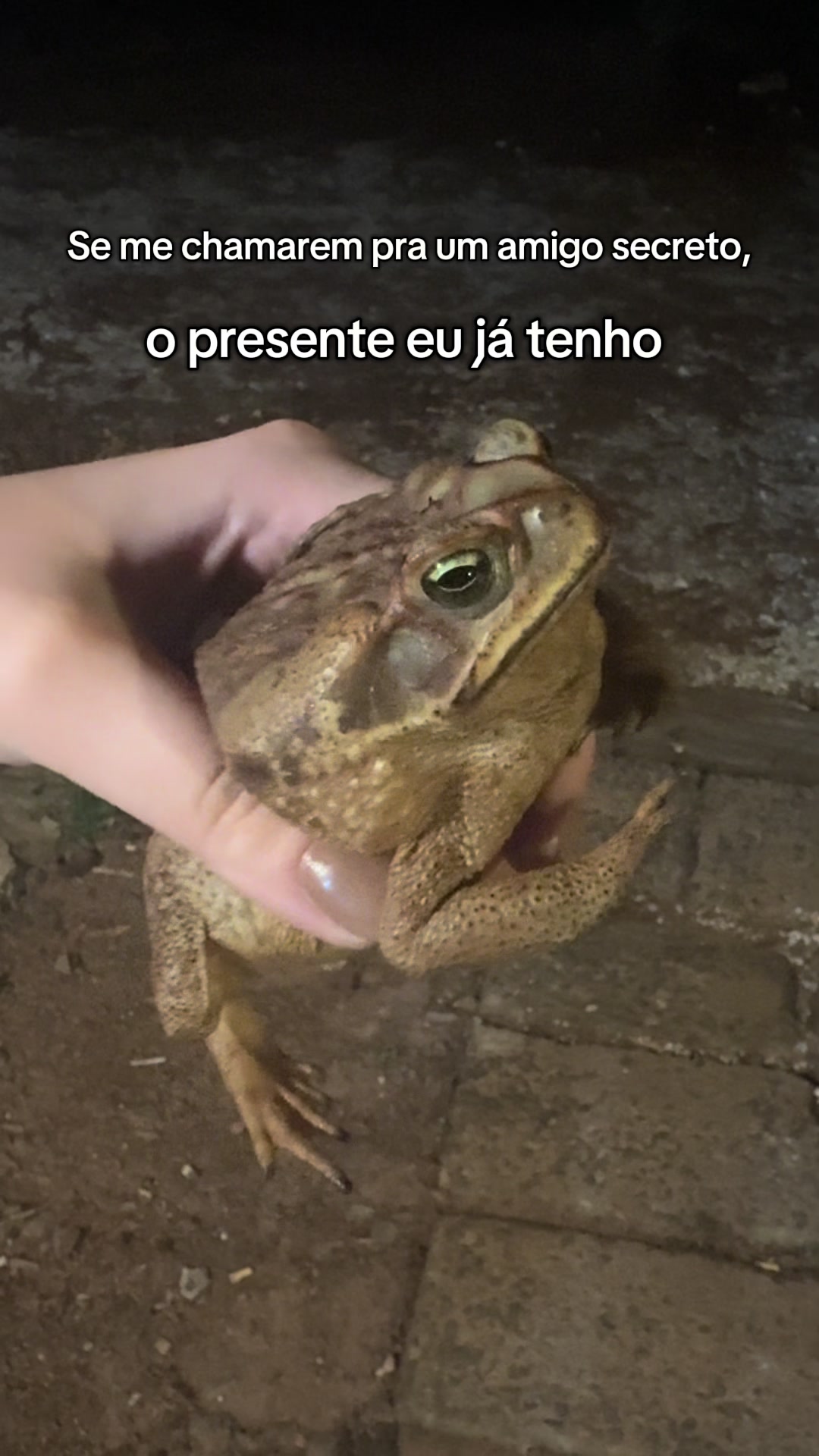 @Rafaela Cavalcante
