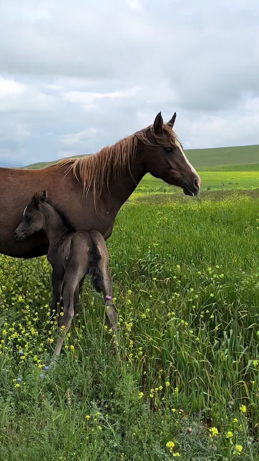 @MakvinStud