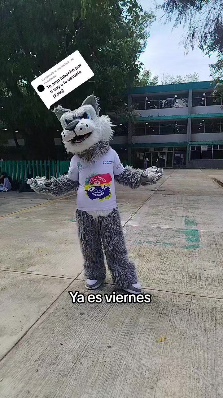 @Lobacho