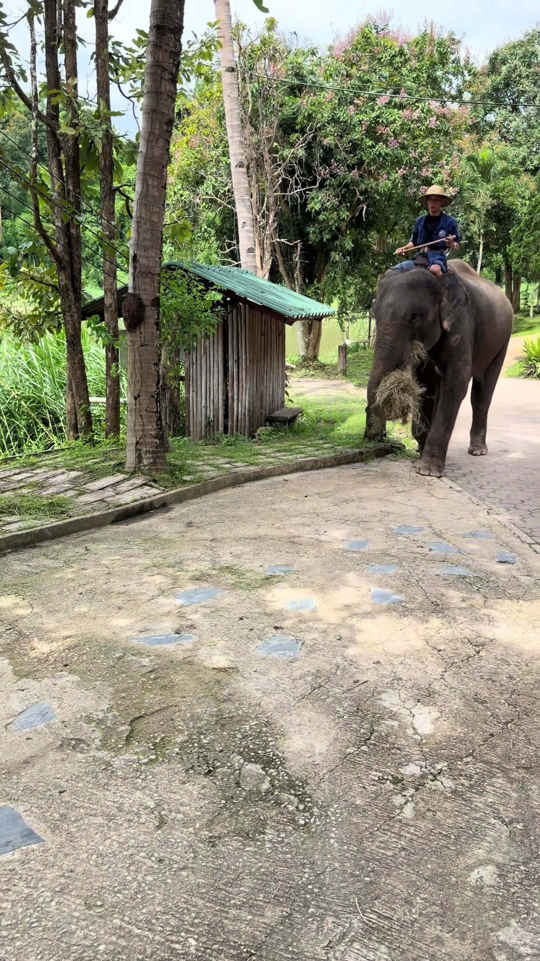 @Qvy Boonchanawiwat