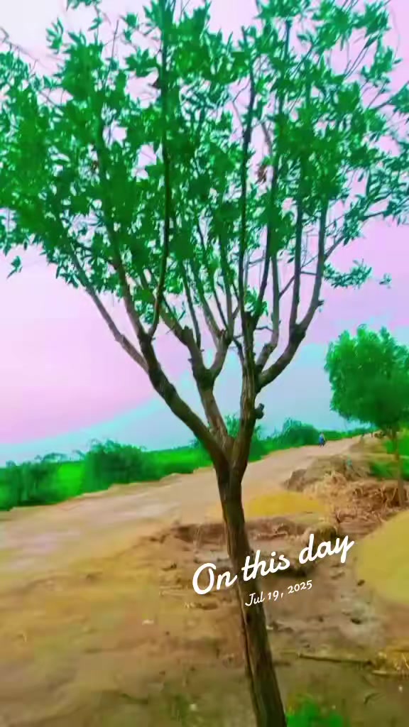 @ونود ڪمار ✌🏻