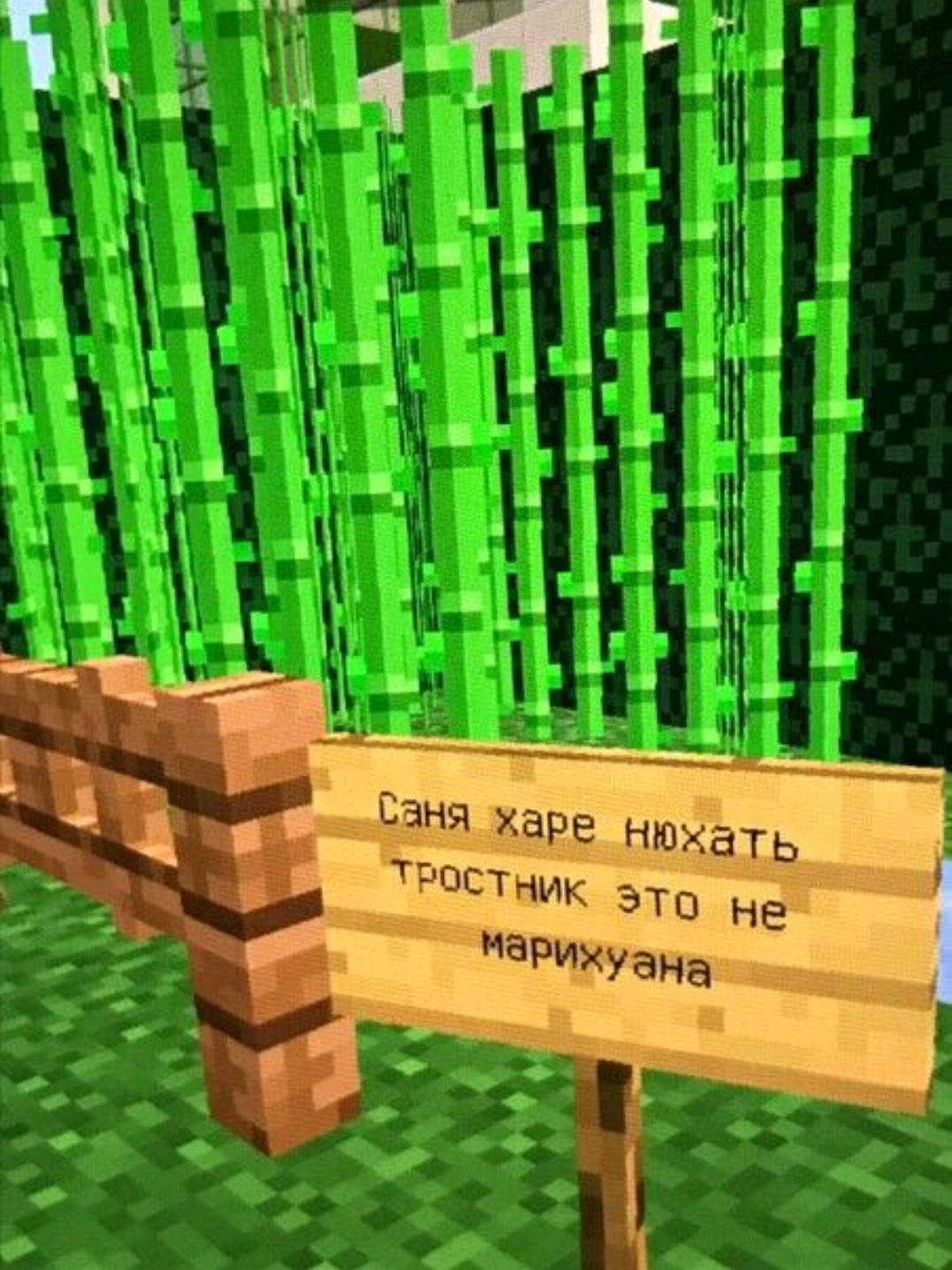 @сыpник