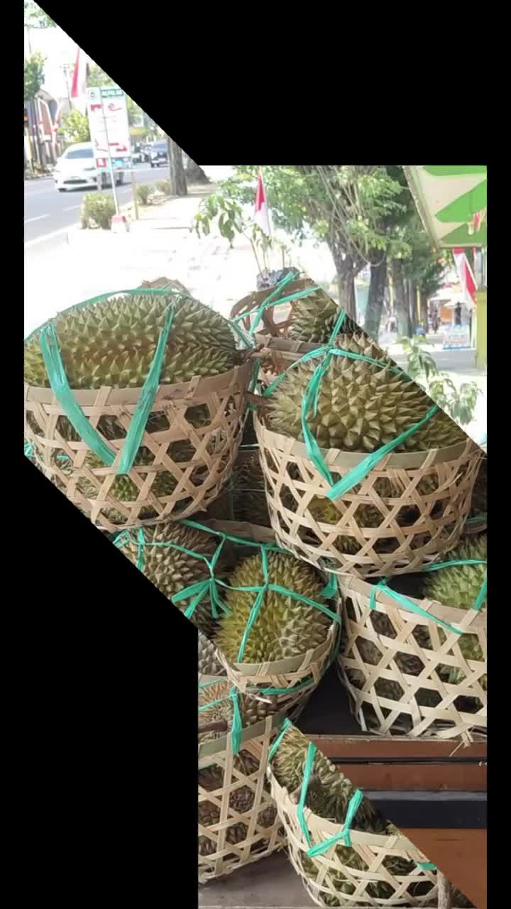 @Kenzhi Durian Tuban