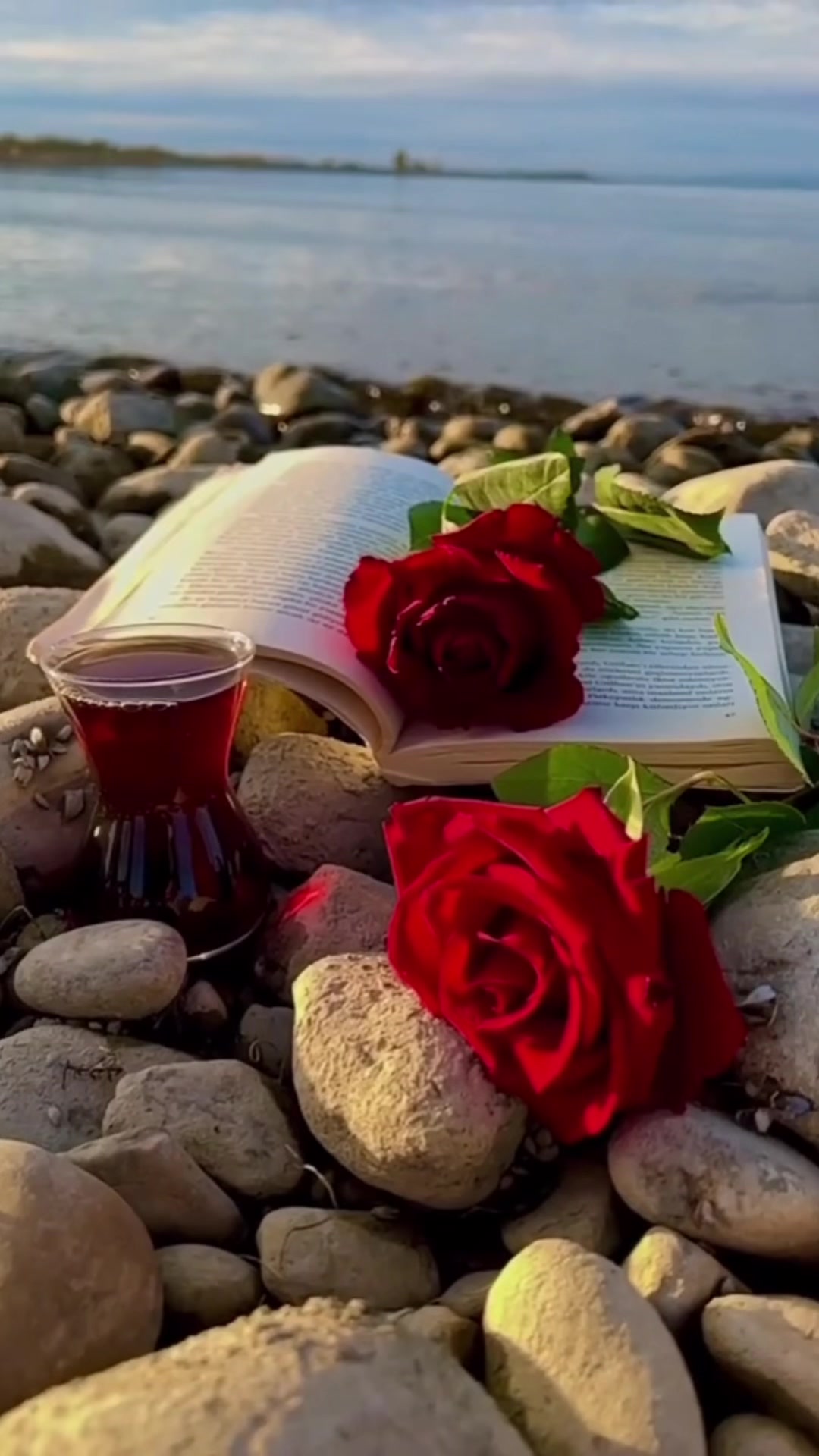 @HAYAT ACIMASIZ