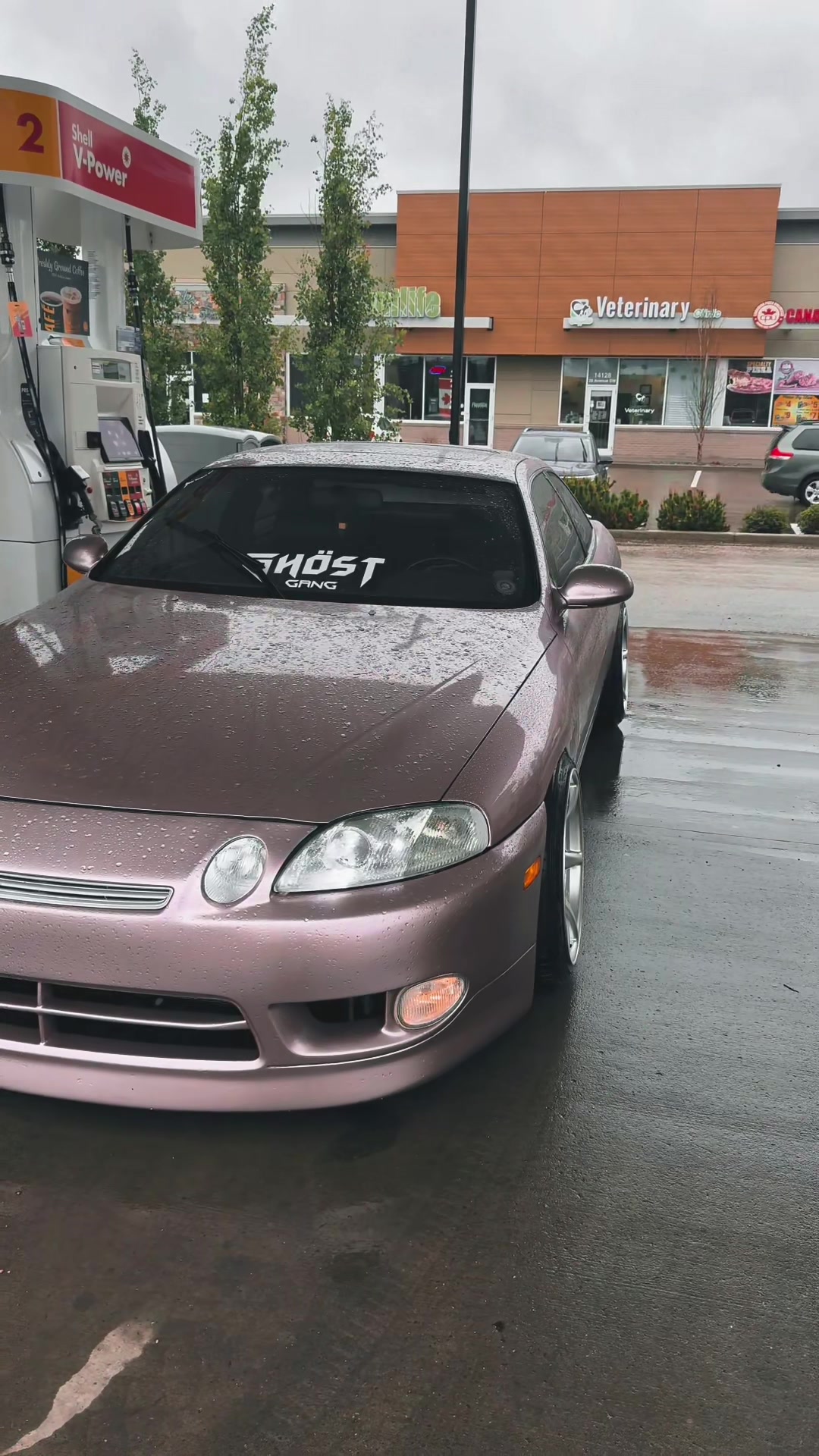 @bussin.sc