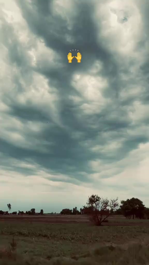 @marala čh&atilde;mp 46
