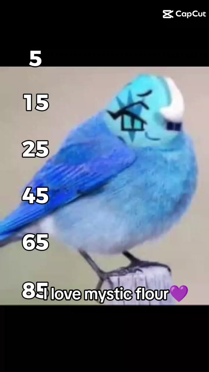 @•*””*• 𝑐𝑎𝑝𝑦𝑗𝑖𝑚 •*””*•